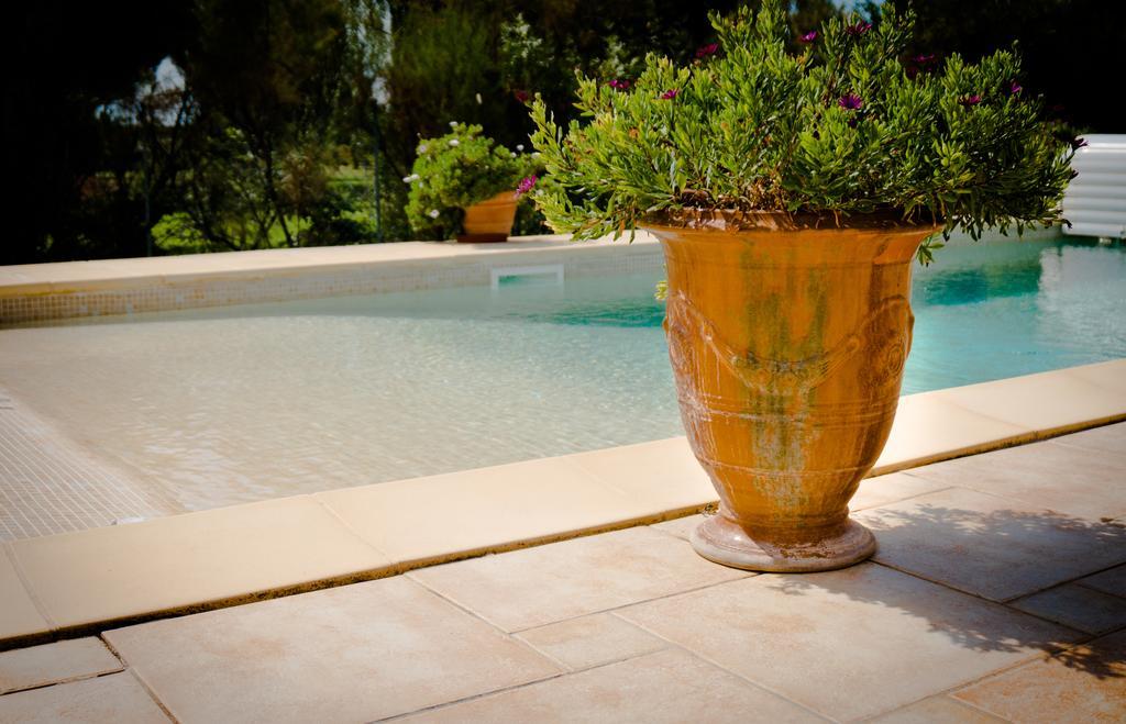 Le Clos De L'Olivade Saint-Just  Luaran gambar